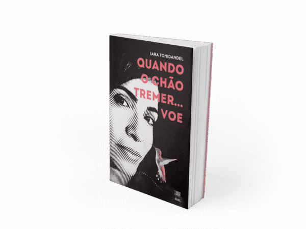 Quando o Chão Tremer... Voe - Imagem 3